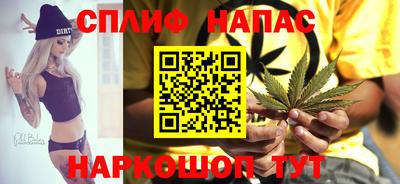 стаф Новодвинск