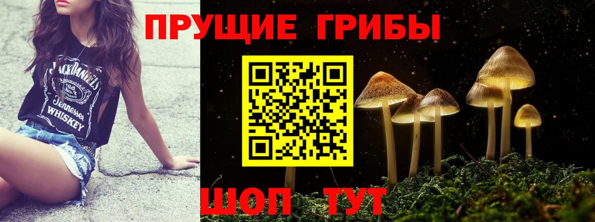 Псилоцибиновые грибы мицелий Томск