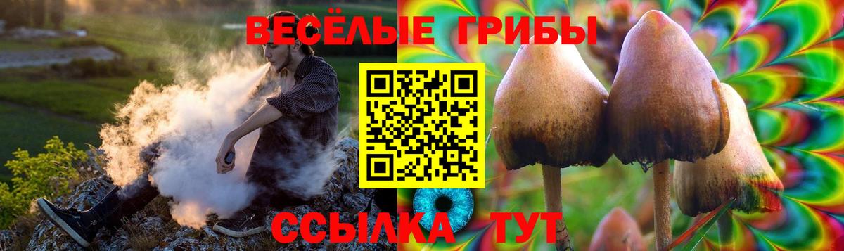 Псилоцибиновые грибы мицелий  сколько стоит  Томск  Галлюциногенные грибы Magic Shrooms  Вход с VPN 